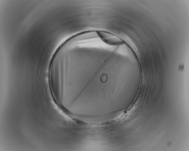 X0000094460958200711291719