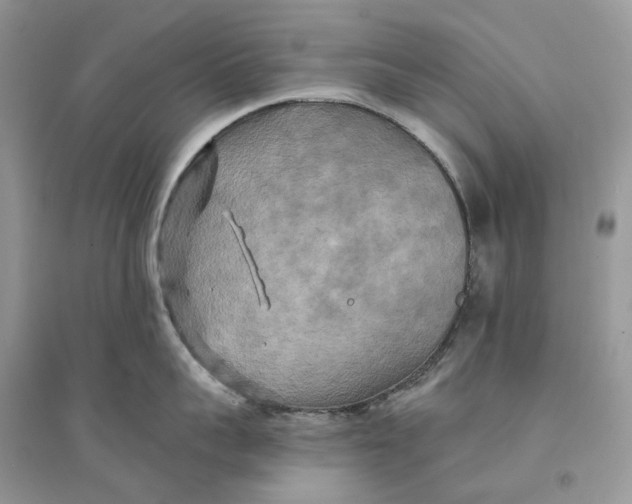 X0000094460959200711291719