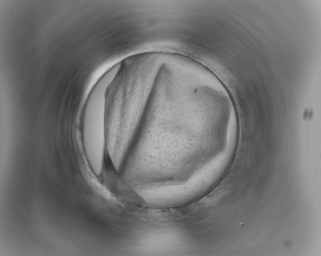 X0000094460960200711291719