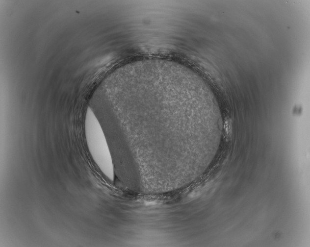 X0000094460963200711291718