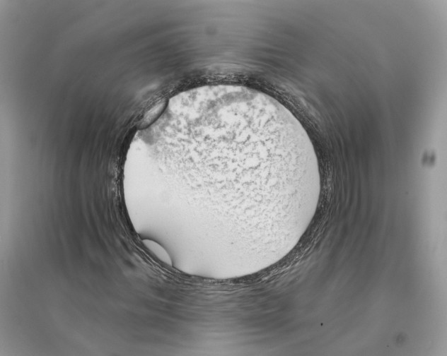 X0000094460964200711291718