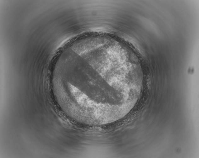 X0000094460968200711291718