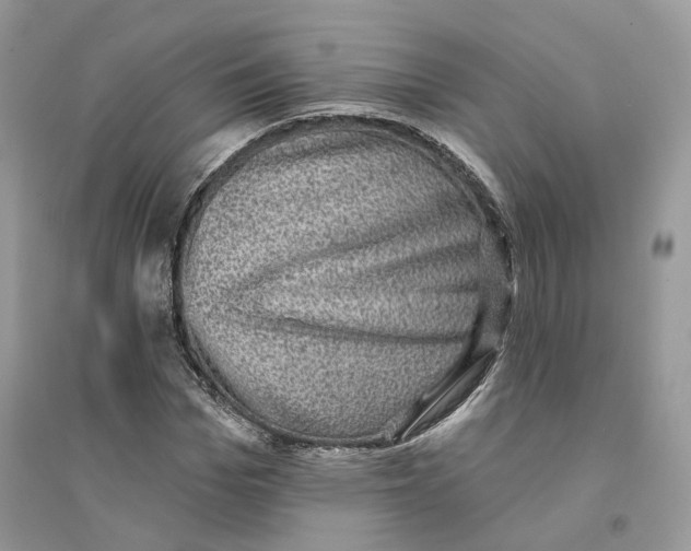 X0000094460969200711291718