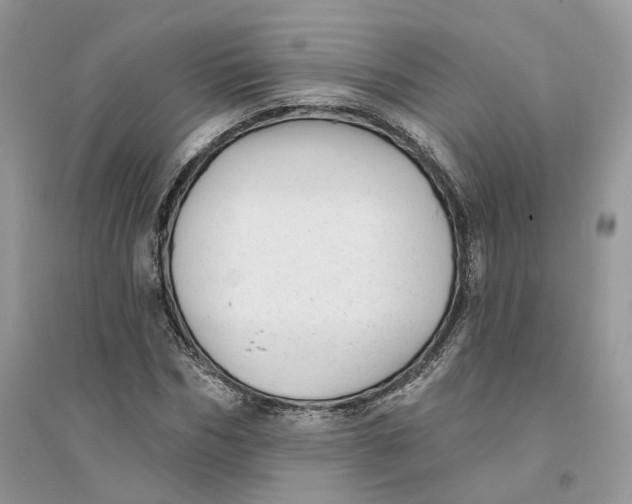 X0000094460970200711291718