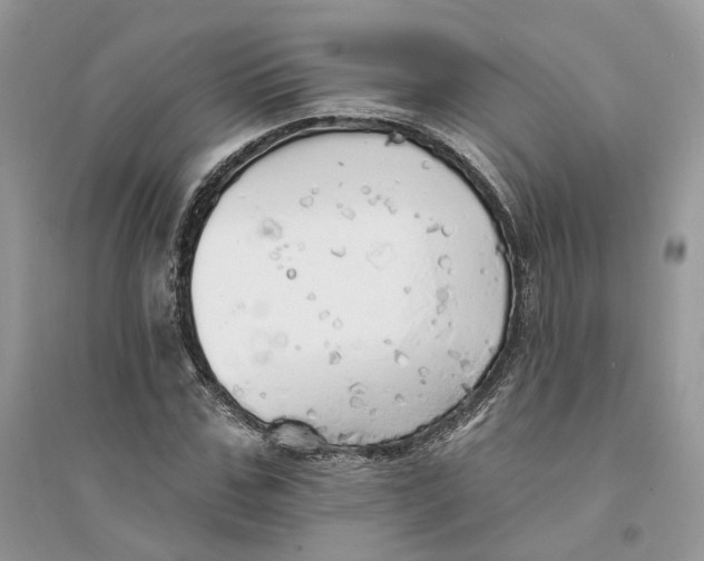 X0000094460971200711291718