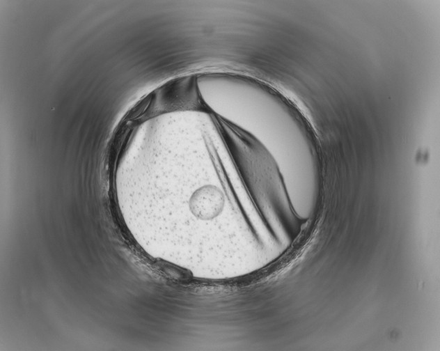 X0000094460973200711291718