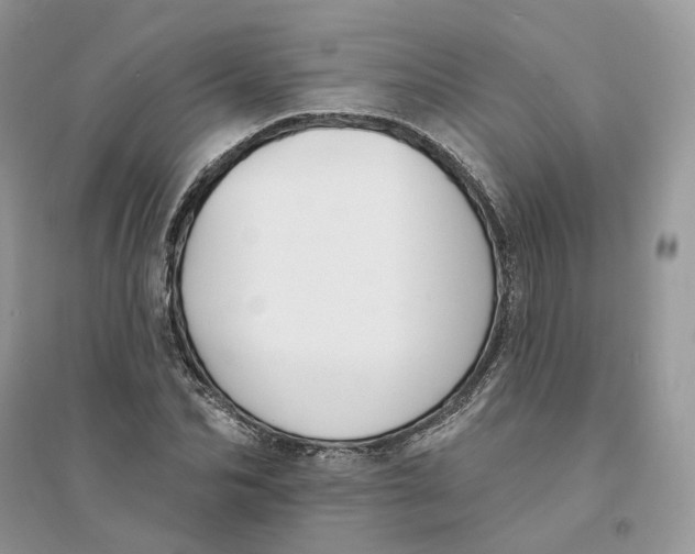 X0000094460974200711291718