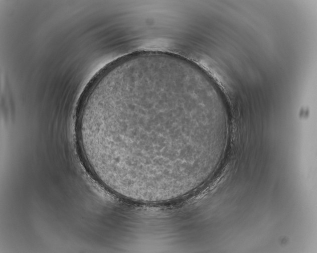 X0000094460976200711291718