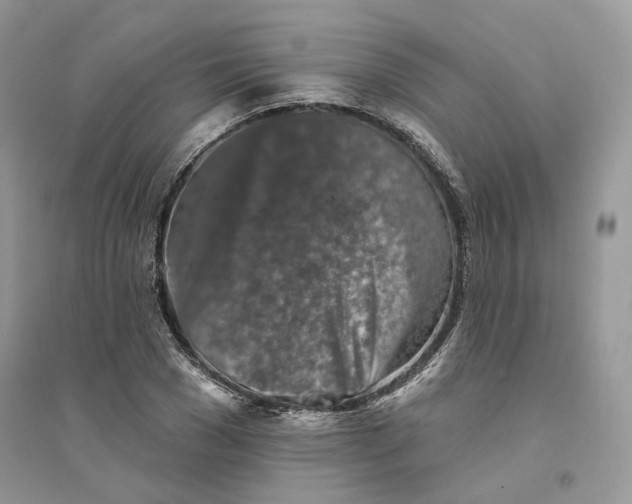 X0000094460977200711291718