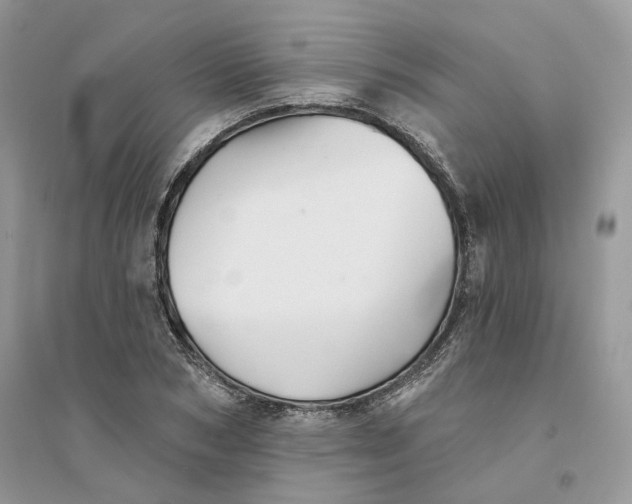 X0000094460978200711291718