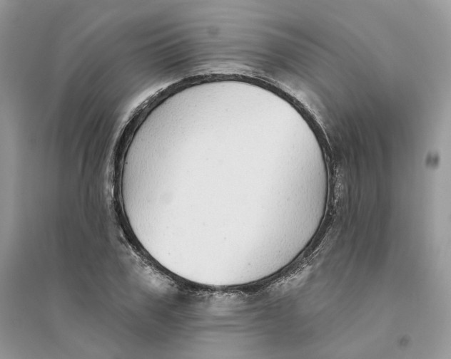 X0000094460979200711291718