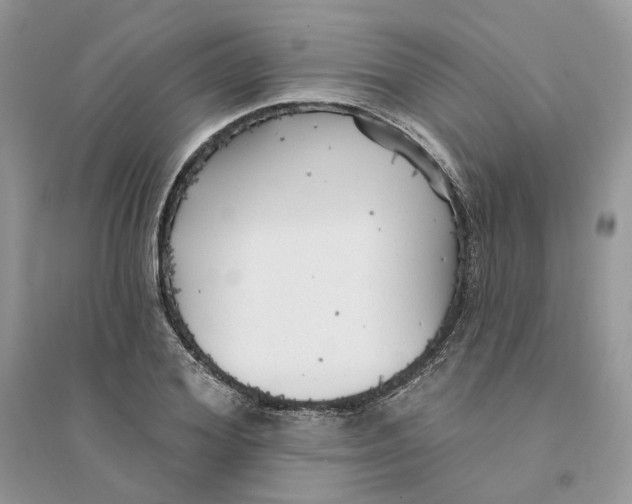 X0000094460980200711291718