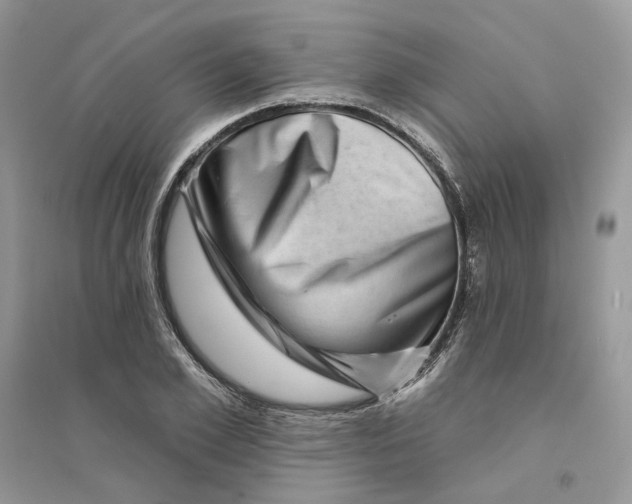 X0000094460981200711291718