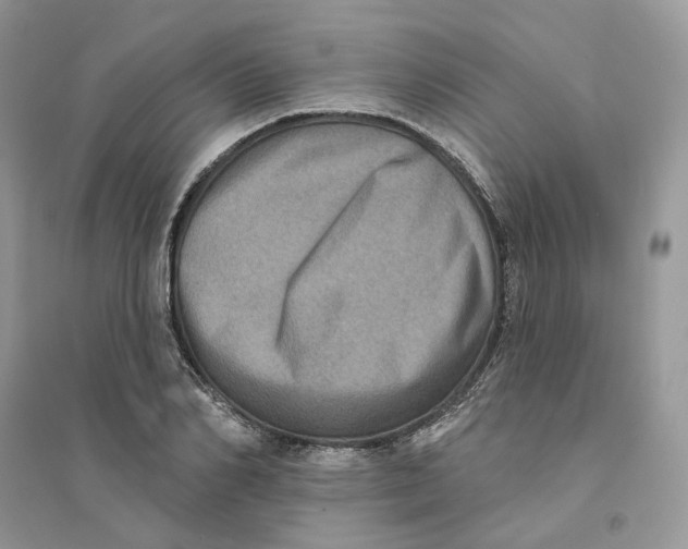 X0000094460982200711291718