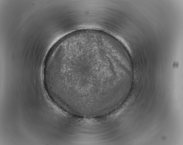 X0000094460983200711291718