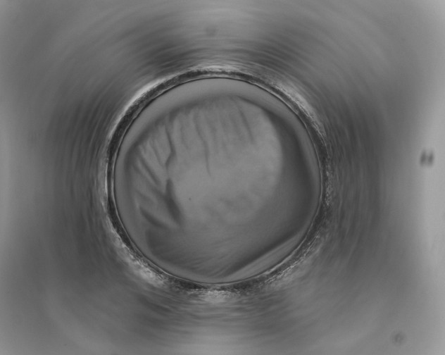 X0000094460984200711291718