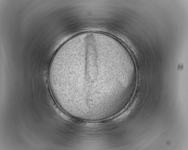 X0000094460985200711291718