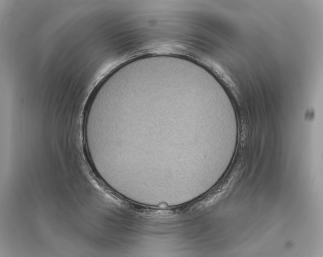 X0000094460986200711291718