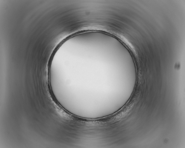 X0000094460988200711291718