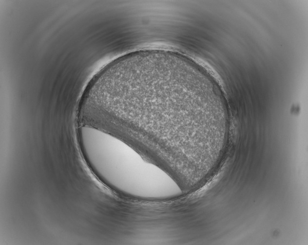 X0000094460989200711291718