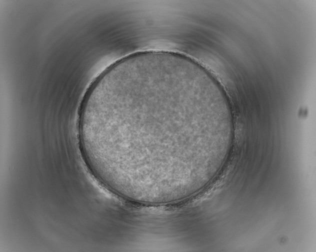 X0000094460990200711291718