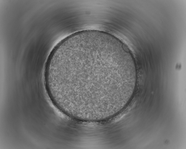 X0000094460991200711291718