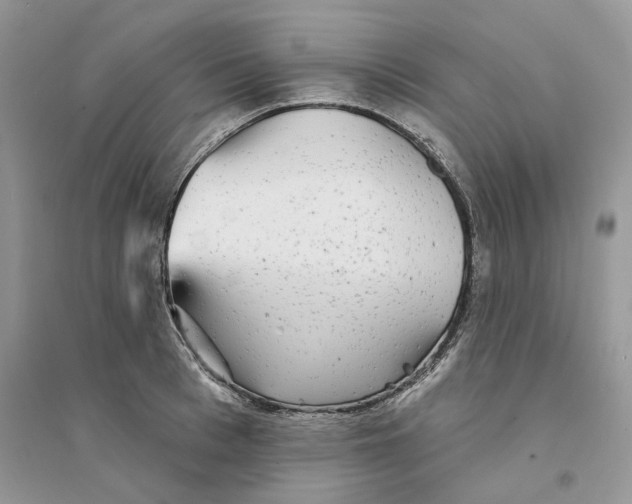 X0000094460993200711291718