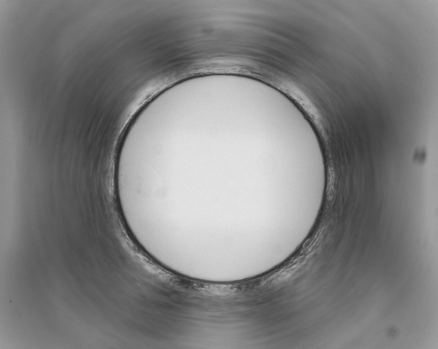 X0000094460994200711291718