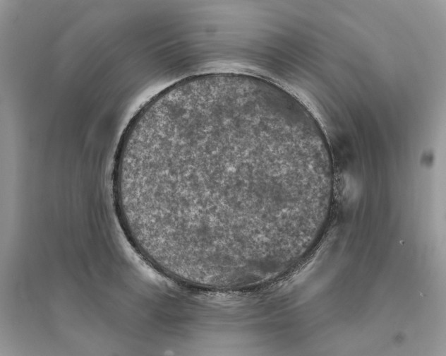 X0000094460995200711291718