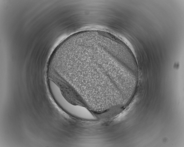 X0000094460997200711291718