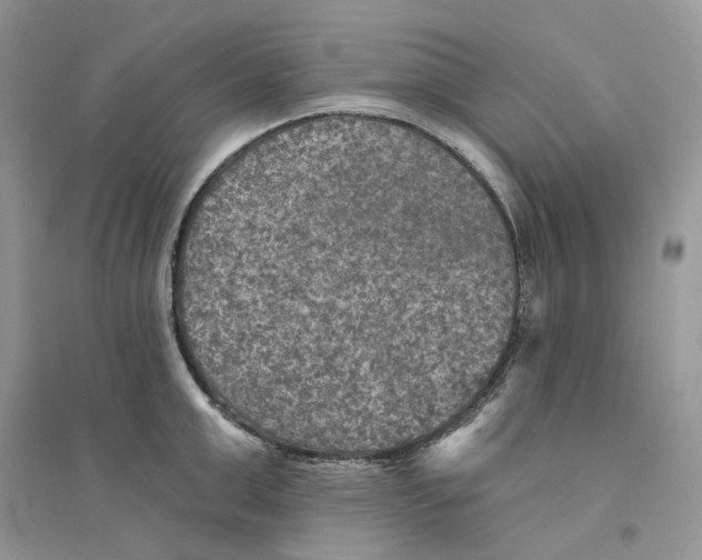 X0000094460999200711291717