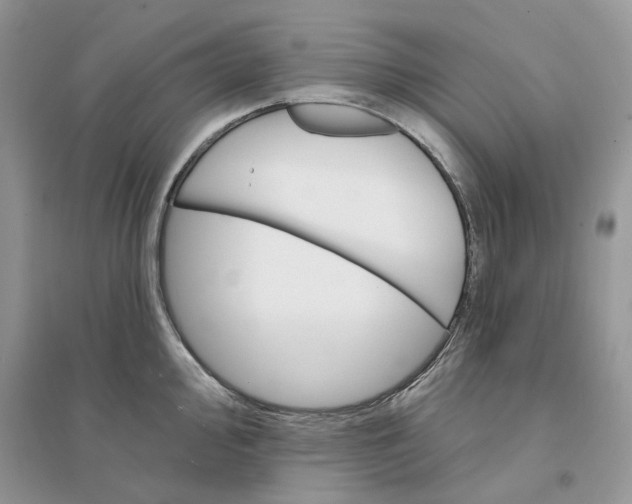 X0000094461000200711291717