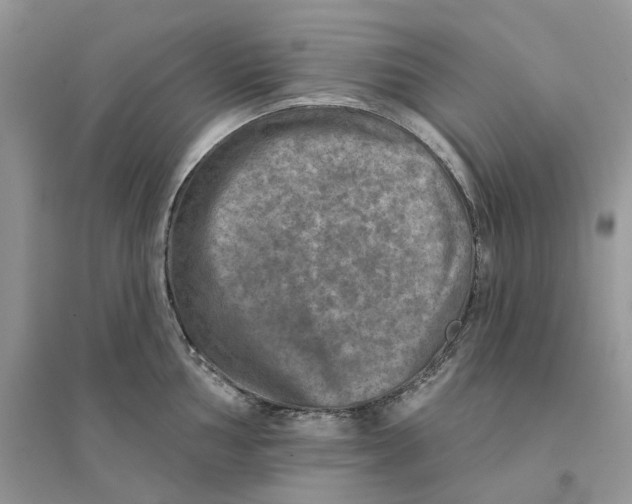 X0000094461002200711291717