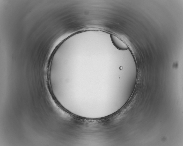 X0000094461003200711291717