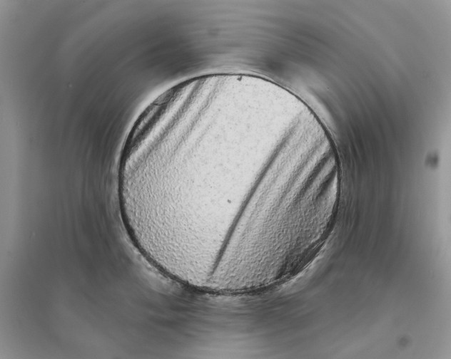 X0000094461004200711291717