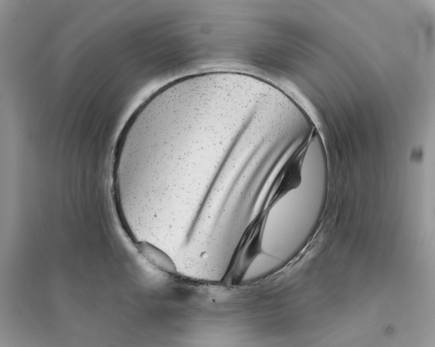 X0000094461005200711291717