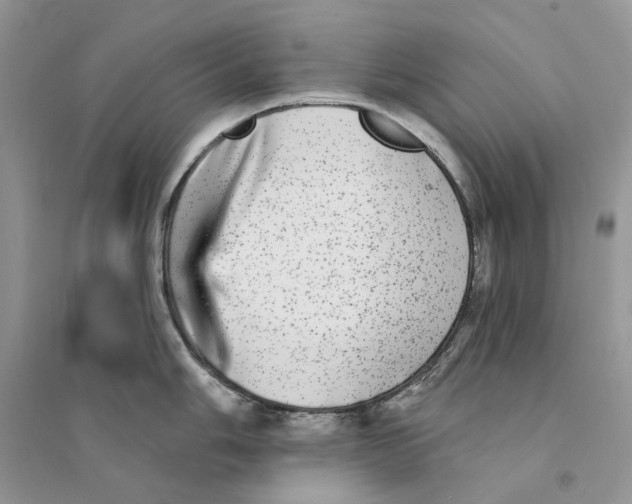 X0000094461006200711291717