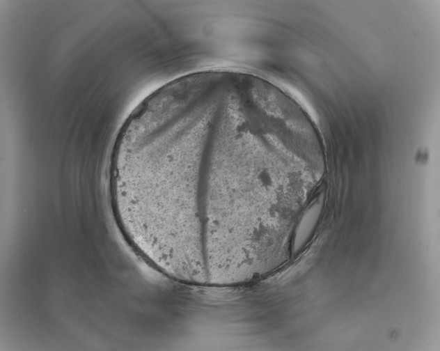 X0000094461007200711291717