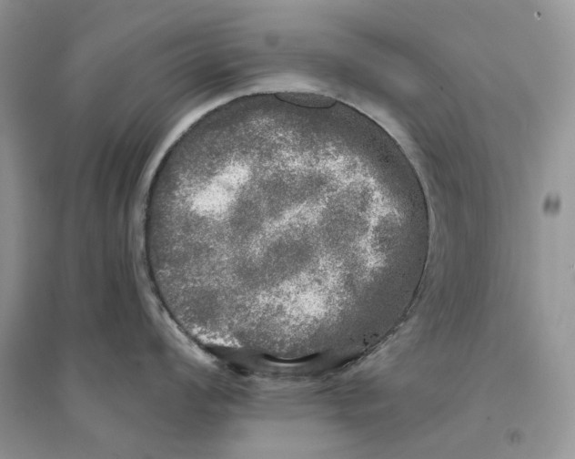 X0000094461008200711291717