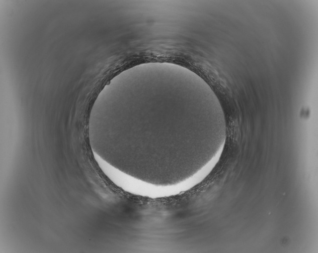 X0000094461009200711291717