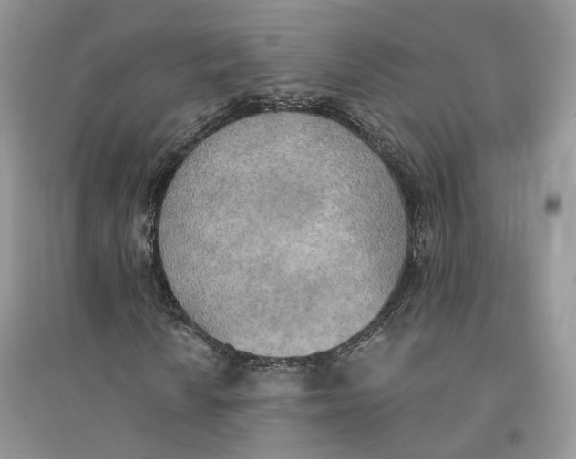 X0000094461010200711291717