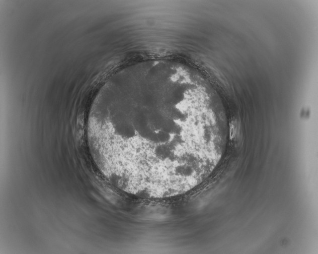 X0000094461011200711291717