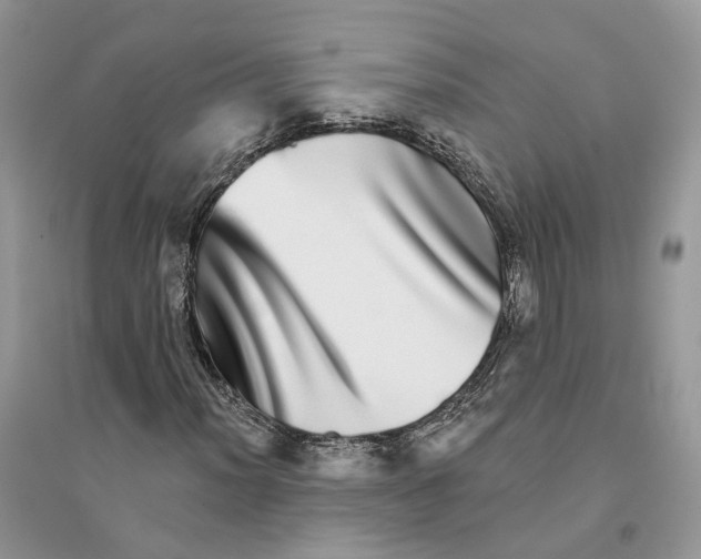 X0000094461012200711291717