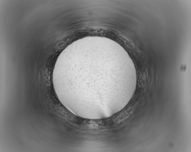 X0000094461013200711291717