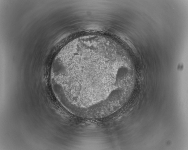 X0000094461015200711291717