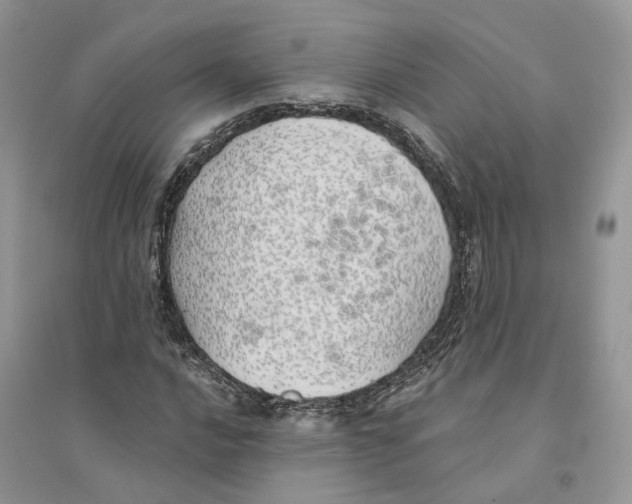 X0000094461016200711291717