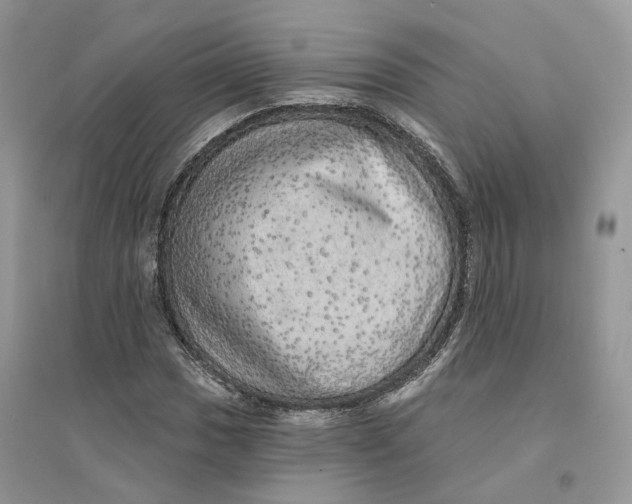 X0000094461017200711291717