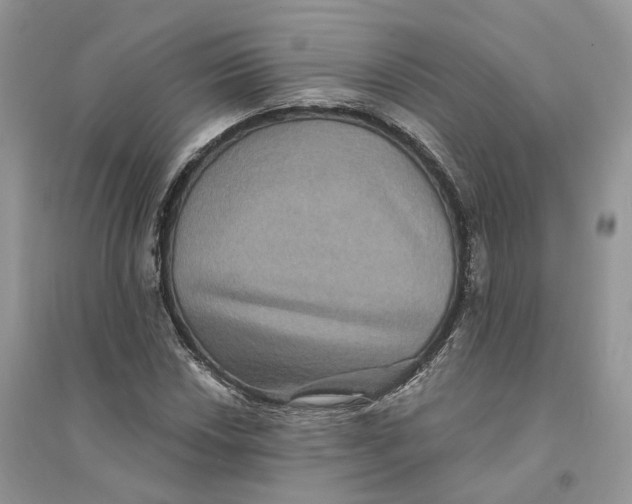 X0000094461018200711291717