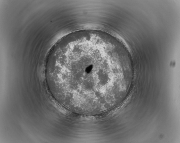 X0000094461019200711291717