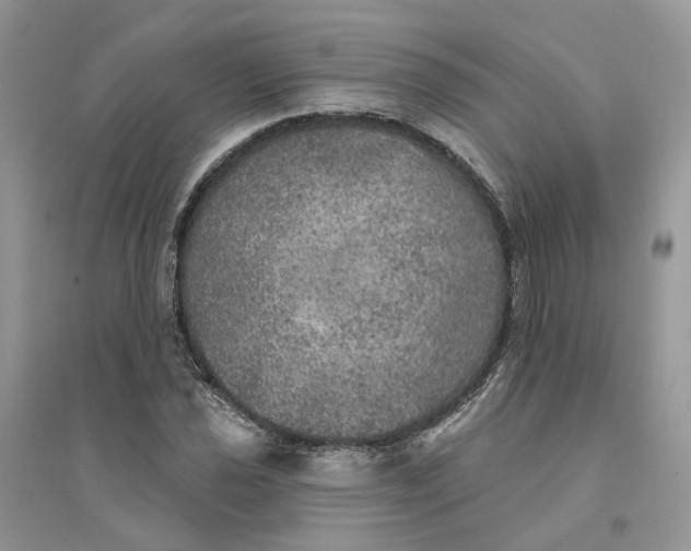 X0000094461021200711291717